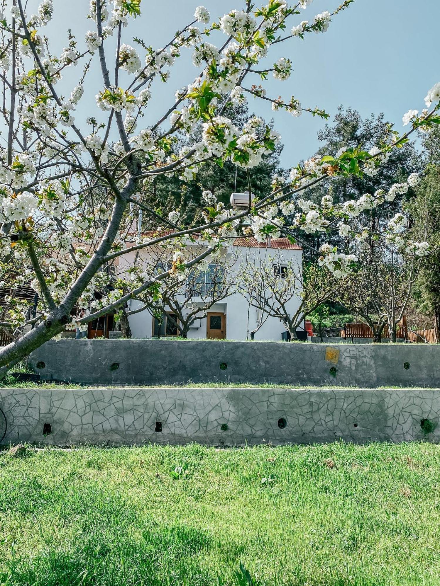 Milea Mansion Villa Limassol Ngoại thất bức ảnh